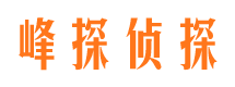 宿州外遇调查取证